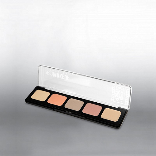PRO STAGE Корректоры в палетке COLOR CREAM CAMOUFLAGE (5 тонов)